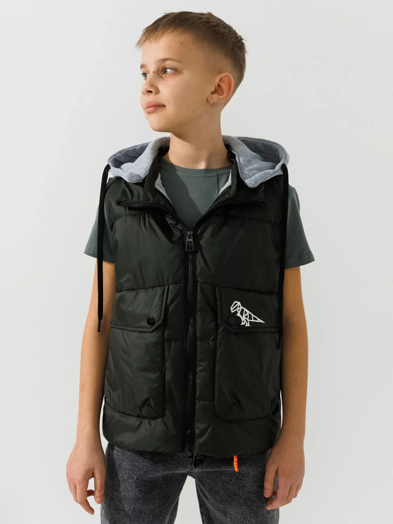 Утепленный жилет Dinomin модель 2000990868718 Фото