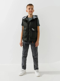 Утепленный жилет Dinomin модель 2000990868718 Утепленный жилет Dinomin модель 2000990868718 Фото