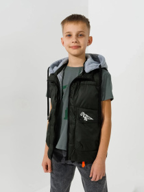 Утепленный жилет Dinomin модель 2000990868718 Утепленный жилет Dinomin модель 2000990868718 Фото