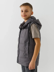 Жилет з утеплювачем Dinomin модель 2000990869296 Фото