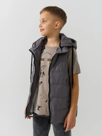 Жилет з утеплювачем Dinomin модель 2000990869296 Фото