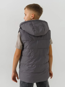 Утепленный жилет Dinomin модель 2000990869296 Фото