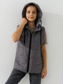 Утепленный жилет Dinomin модель 2000990869296 Фото