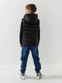 Жилет з утеплювачем Dinomin модель 2000990868640 Фото