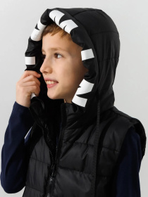 Жилет з утеплювачем Dinomin модель 2000990868640 Фото