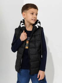 Утеплений жилет Dinomin модель 2000990868640 Утеплений жилет Dinomin модель 2000990868640 Фото