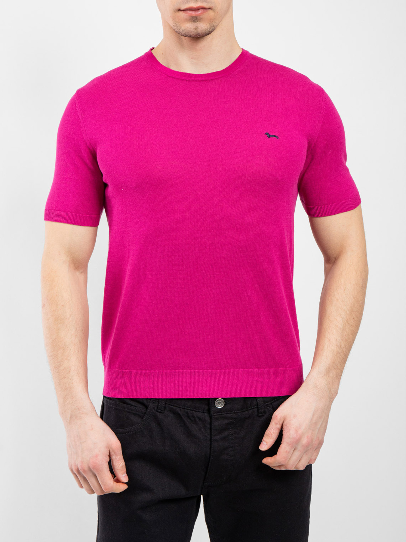 Футболка Harmont&Blaine модель HRN239031076_558 Фото