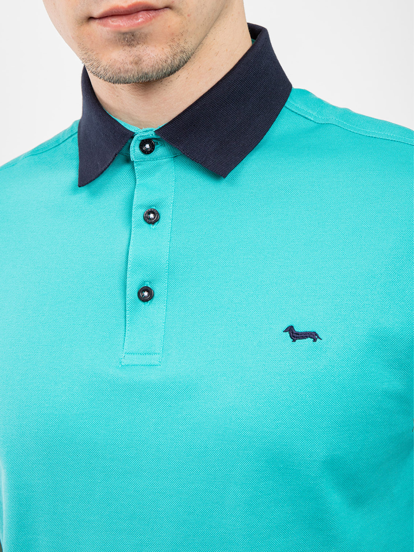 Поло Harmont&Blaine модель LRN431021148_647 Фото