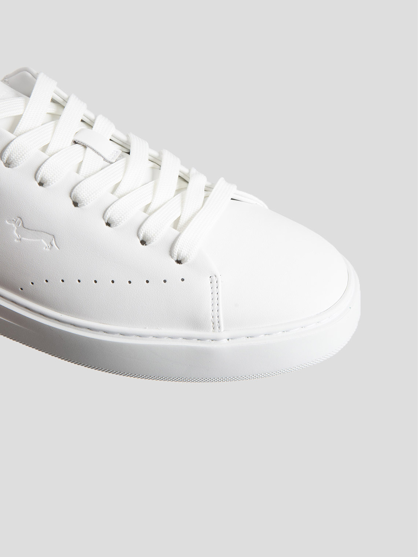 Кеды низкие Harmont&Blaine модель EFM251.001.5000 Фото