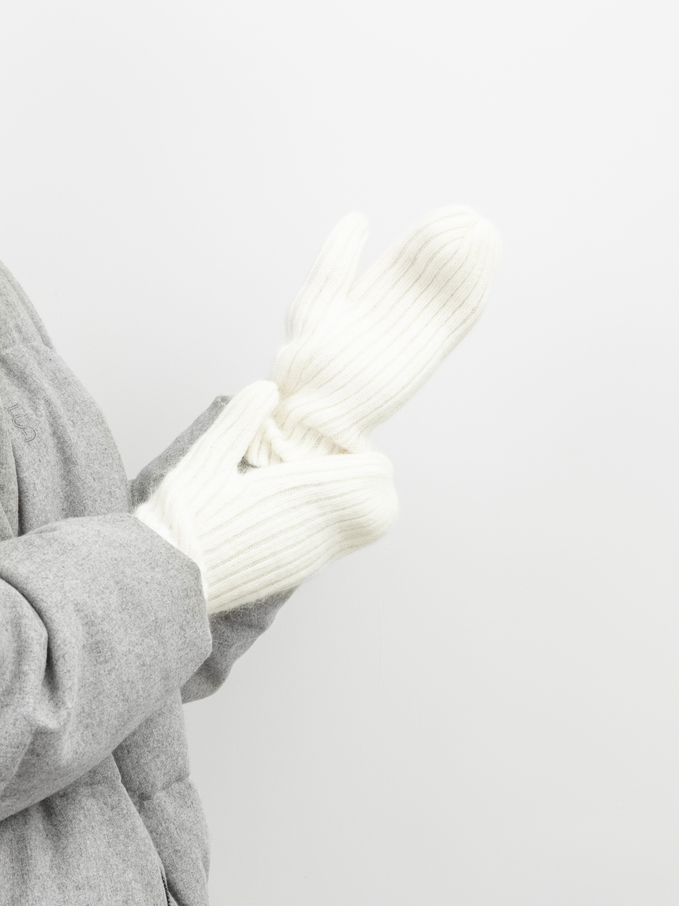 Перчатки и варежки Famo модель RUK-202316_02 Фото