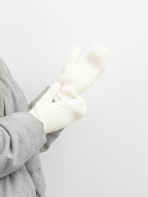 Перчатки и варежки Famo модель RUK-202316_02 Фото