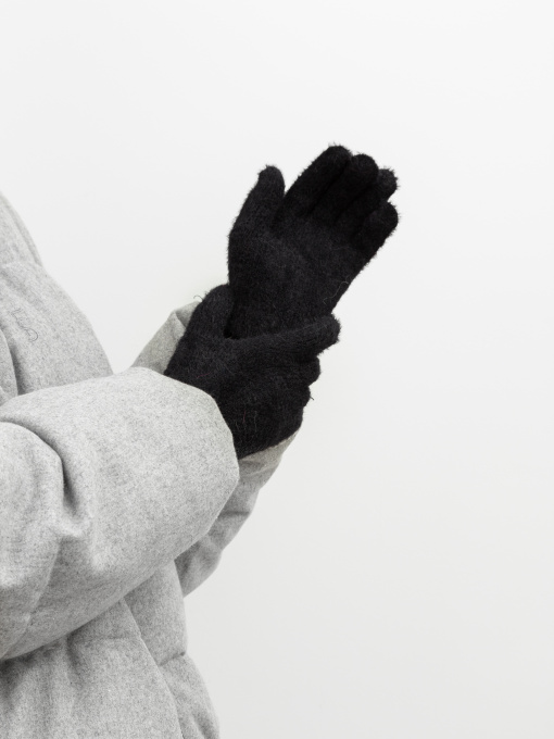 Перчатки и варежки Famo модель RUK-202316_04 Фото
