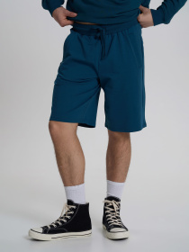 Шорти Роза модель 200242_blue_green Фото