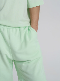 Шорти Роза модель 240625_light_green Фото