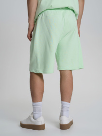 Повсякденні шорти Роза модель 240625_light_green Фото