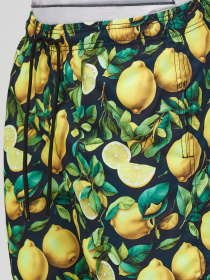 Шорты для плавания Geronimo модель 2453p3 Фото