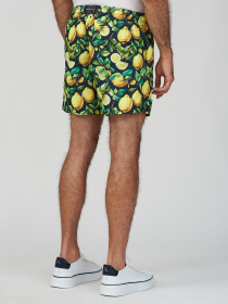 Шорти для плавання Geronimo модель 2453p3 Фото