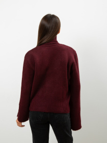 Светр Famo модель KOF-231111_08 Светр Famo модель KOF-231111_08 Фото