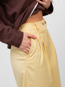 Брюки повседневные Famo модель BR-894_05 Фото