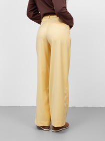 Брюки повседневные Famo модель BR-894_05 Фото