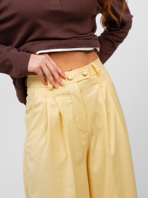 Брюки повседневные Famo модель BR-894_05 Фото