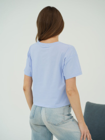 Футболка ISSA Plus модель WN20-709_голубой Футболка ISSA Plus модель WN20-709_голубой Фото