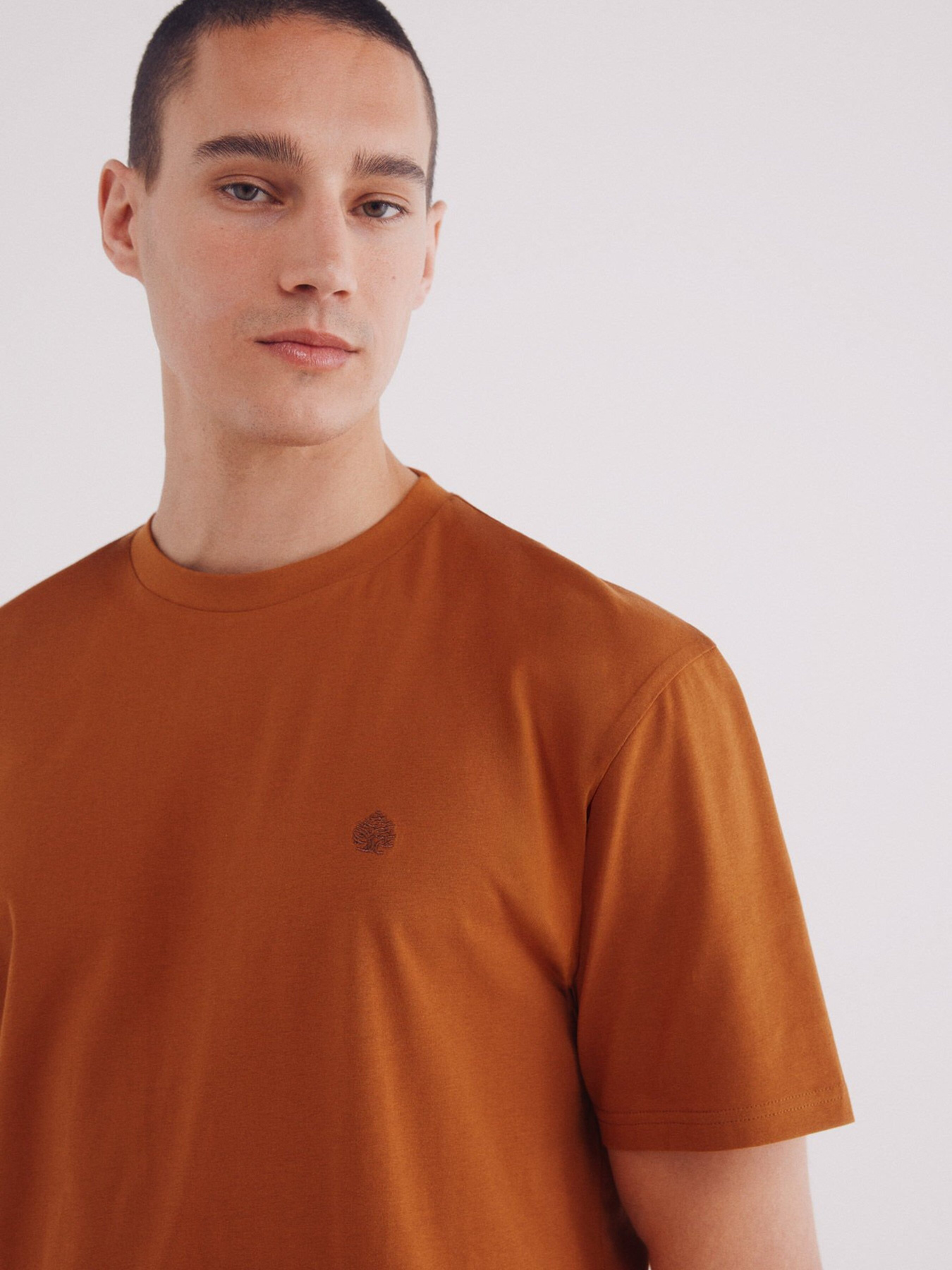 Футболка SPRINGFIELD Модель 7122284-66 Фото