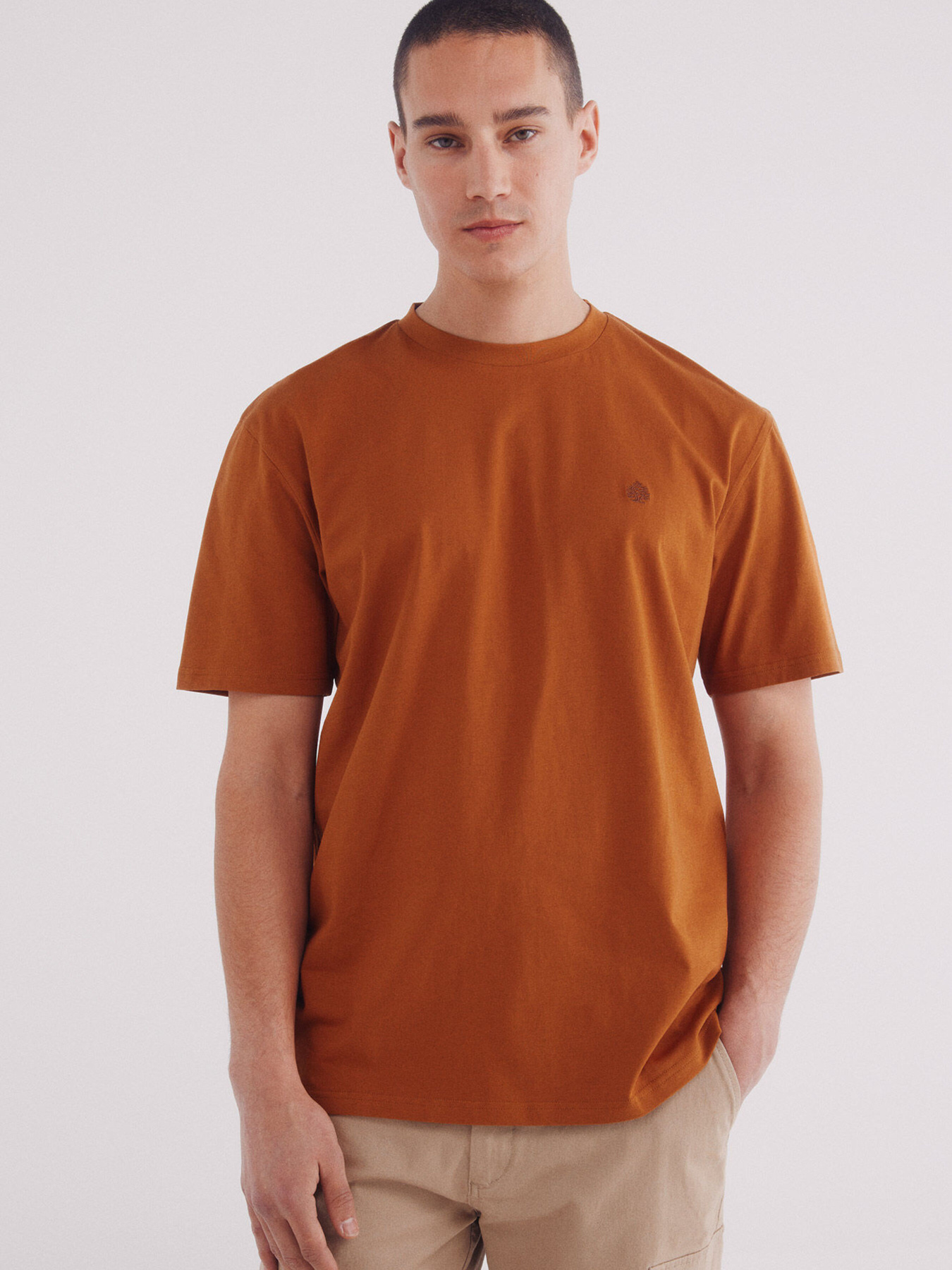 Футболка SPRINGFIELD Модель 7122284-66 Фото