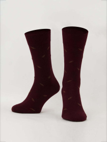 Носки Giulia ms3c/Sl-305 (ELEGANT 305 Calzino) модель UP-00001136 Фото