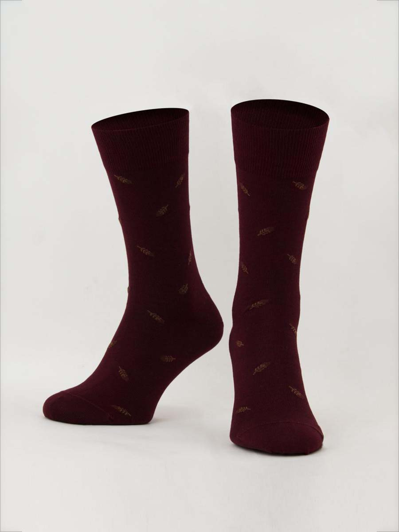 Носки Giulia ms3c/Sl-305 (ELEGANT 305 Calzino) модель UP-00001136 Носки Giulia ms3c/Sl-305 (ELEGANT 305 Calzino) модель UP-00001136 Фото