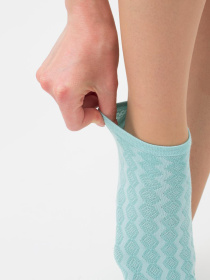 Носки Giulia ws1 Soft Background 003 модель UP-00001610 Носки Giulia ws1 Soft Background 003 модель UP-00001610 Фото