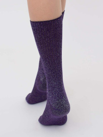 Шкарпетки Giulia ws4 Lurex Rib 001 модель UP-00001998 Фото