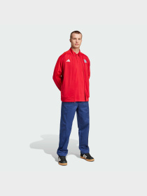 Спортивная кофта Adidas модель IT4154 Фото