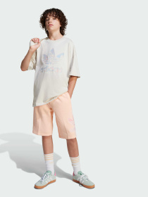 Футболка Adidas Graphics модель JJ0277 Фото