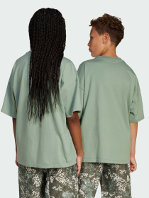 Футболка Adidas Graphics модель JJ0278 Фото