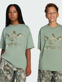 Футболка Adidas Graphics модель JJ0278 Фото