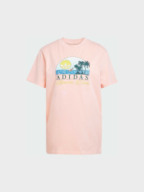 Футболка Adidas Graphics модель JN6684 Фото