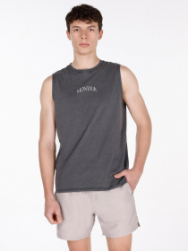 Футболки і поло Colin’s модель CL1074152_Q1.V1_ANT Фото