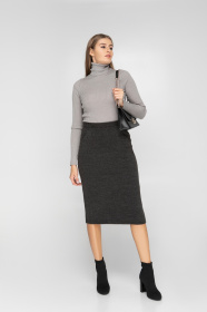 Водолазка Sewel модель GL530190000 Фото