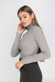 Водолазка Sewel модель GL530190000 Фото