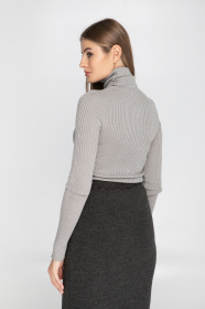 Водолазка Sewel модель GL530190000 Фото