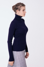 Водолазка Sewel модель GL530360000 Фото