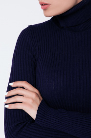 Водолазка Sewel модель GL530360000 Фото