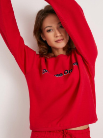 Свитшот DIVERSE модель 10037544 Фото