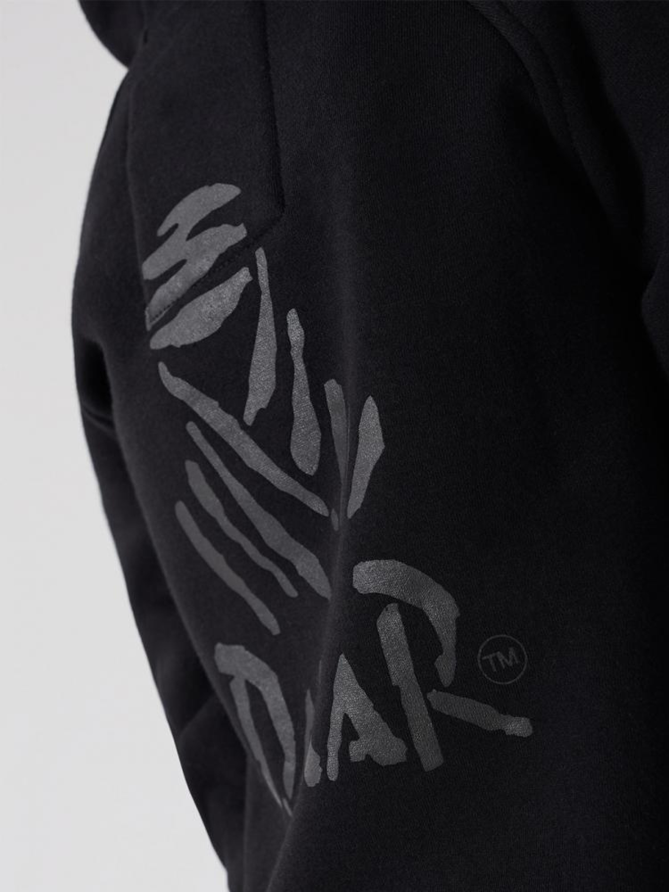 Кофта спортивная DIVERSE модель 10038477 Фото