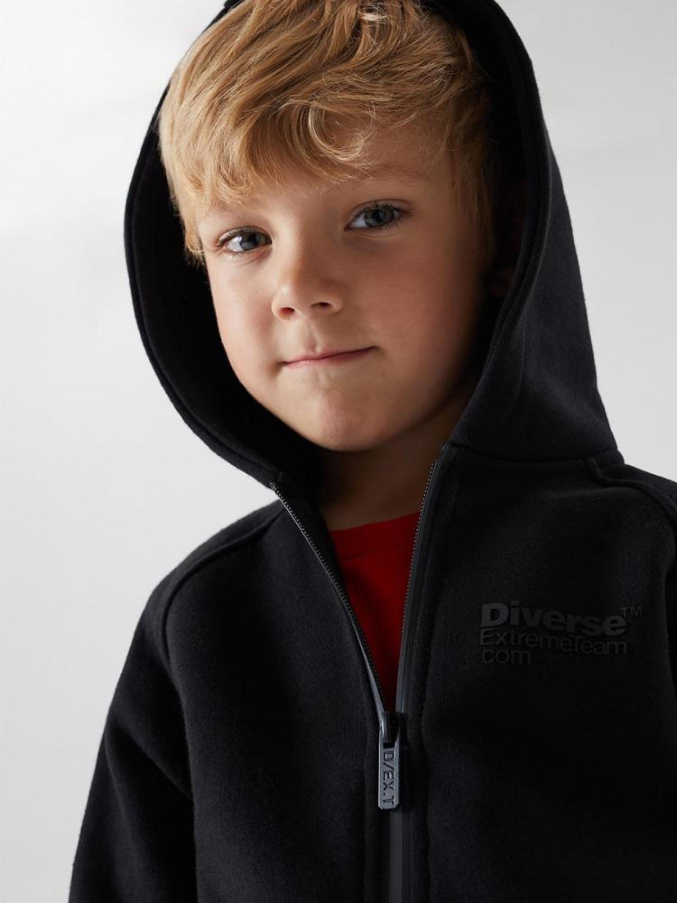 Кофта спортивная DIVERSE модель 10038477 Фото