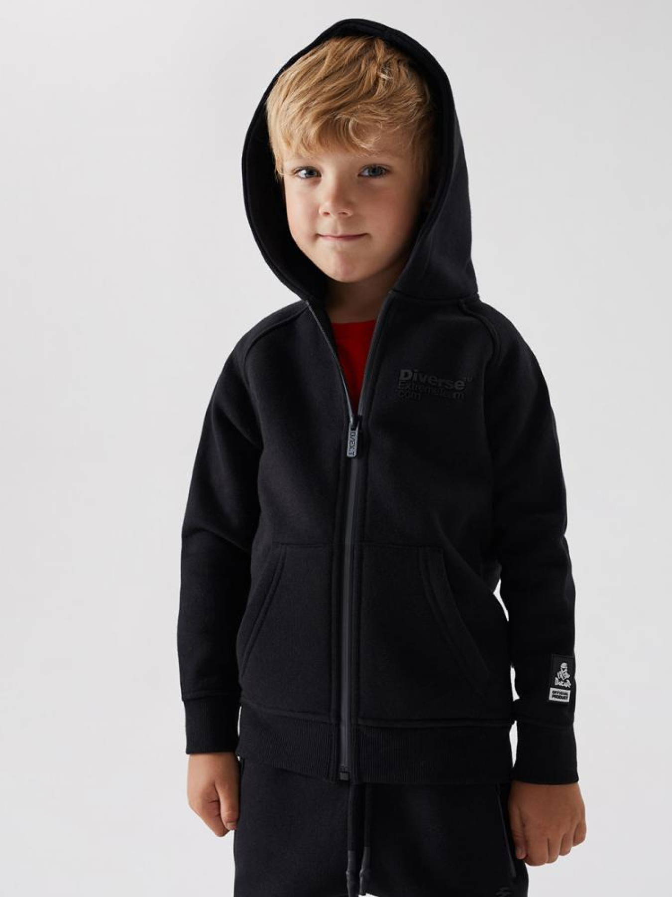 Спортивная кофта DIVERSE модель 10038477 Спортивная кофта DIVERSE модель 10038477 Фото