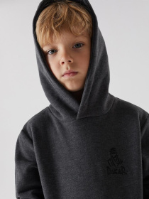 Худи DIVERSE Dkr Kid H1 модель 10038478 Фото