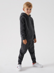 Худи DIVERSE Dkr Kid H1 модель 10038478 Худи DIVERSE Dkr Kid H1 модель 10038478 Фото