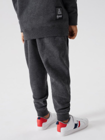 Штаны спортивные DIVERSE Dkr Kid Jog1 модель 10038505 Фото